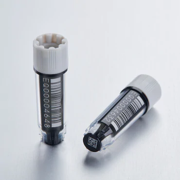 艾本德Eppendorf CryoStorage Vial，無菌, 無菌, 0.5 mL, 不含 DNase、RNase、人類 DNA 和內(nèi)毒素；外螺紋，預(yù)先加蓋灰色管蓋，帶 2D SafeCode 